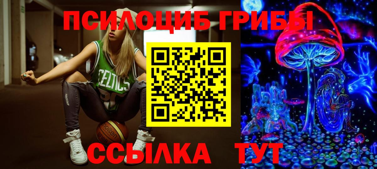 Галлюциногенные грибы GOLDEN TEACHER  Галлюциногенные грибы GOLDEN TEACHER  Татарск  Вход с VPN 